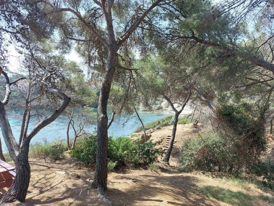 Charmant Mazet - Plage A Pied Saint-Peïre-sur-Mer Exteriör bild